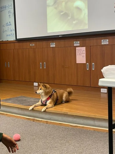 雨農國小／台北士林 29 - Travel of Rice 小米遊記