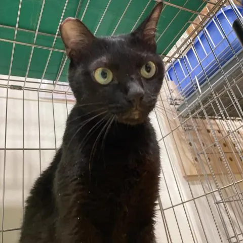 愛毛俱樂部 40 - Travel of Rice 小米遊記 愛毛俱樂部 39 - Travel of Rice 小米遊記