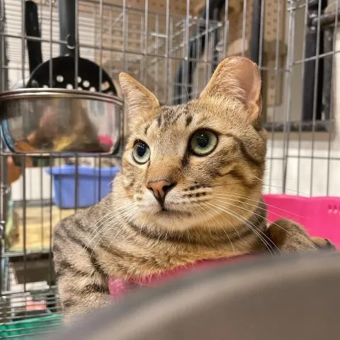 愛毛俱樂部 41 - Travel of Rice 小米遊記 愛毛俱樂部 40 - Travel of Rice 小米遊記