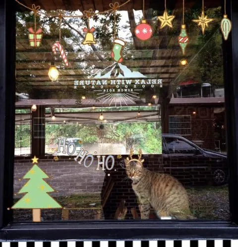 ZOO ZOO 假期 53 - Travel of Rice 小米遊記 ZOO ZOO 假期 53 - Travel of Rice 小米遊記