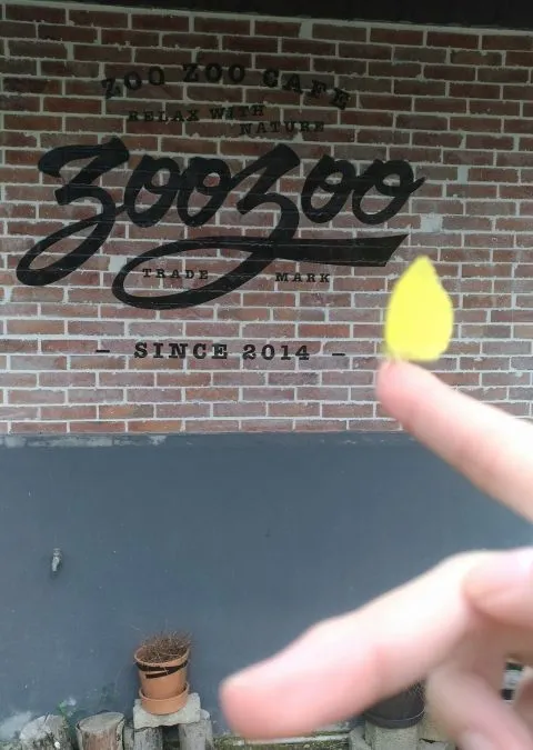 ZOO ZOO 假期 54 - Travel of Rice 小米遊記 ZOO ZOO 假期 54 - Travel of Rice 小米遊記