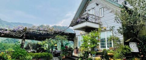 It's Alice cafe & food 9 - Travel of Rice 小米遊記
