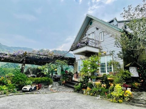 It's Alice cafe & food 50 - Travel of Rice 小米遊記