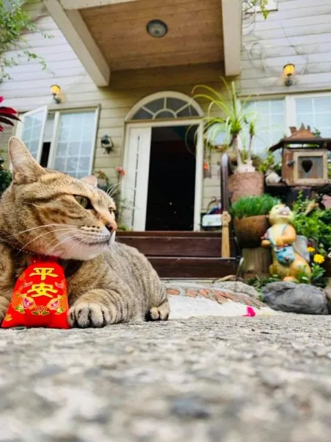 It's Alice cafe & food 67 - Travel of Rice 小米遊記