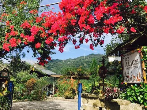 It's Alice cafe & food 70 - Travel of Rice 小米遊記