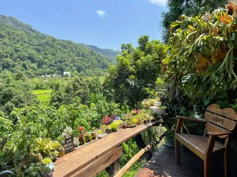 It's Alice cafe & food 71 - Travel of Rice 小米遊記