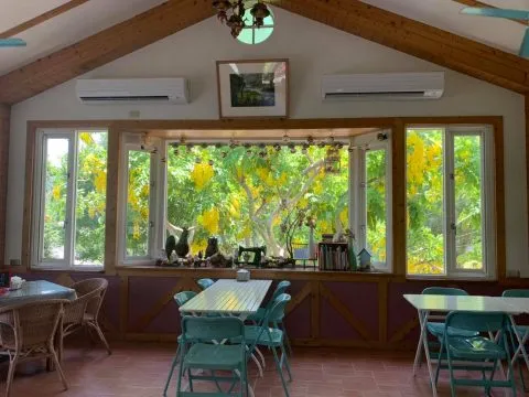 It's Alice cafe & food 73 - Travel of Rice 小米遊記