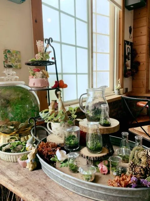 It's Alice cafe & food 75 - Travel of Rice 小米遊記