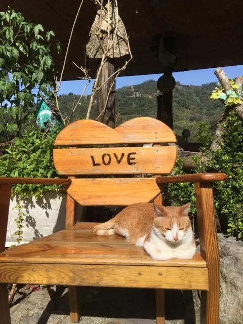 It's Alice cafe & food 82 - Travel of Rice 小米遊記