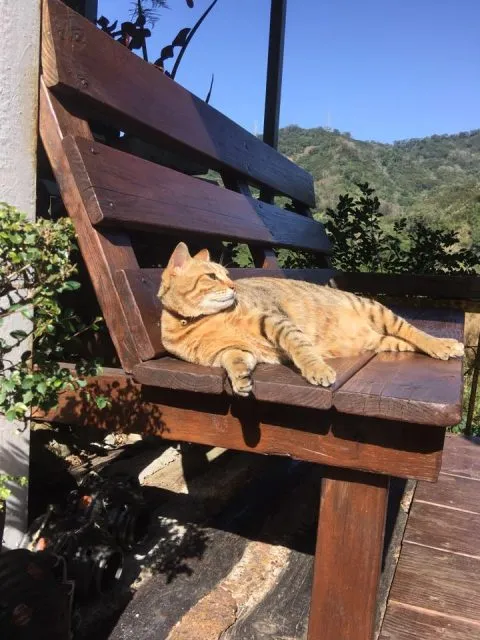 It's Alice cafe & food 112 - Travel of Rice 小米遊記