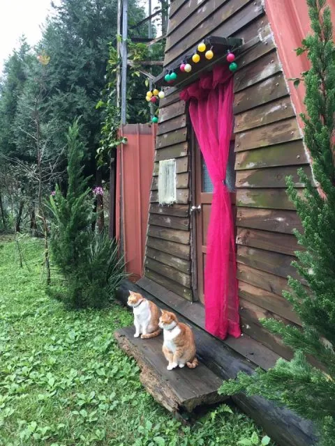 It's Alice cafe & food 114 - Travel of Rice 小米遊記