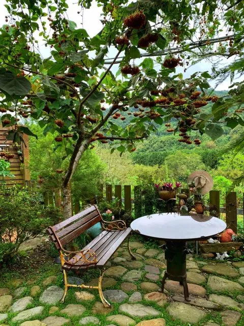 It's Alice cafe & food 118 - Travel of Rice 小米遊記