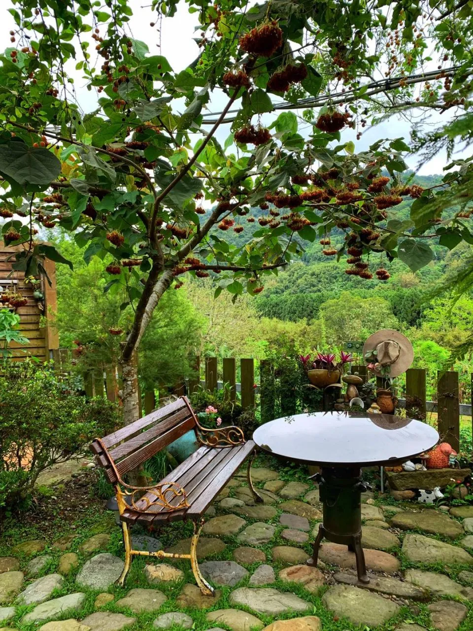 It's Alice cafe & food 118 - Travel of Rice 小米遊記 It's Alice cafe & food 118 - Travel of Rice 小米遊記