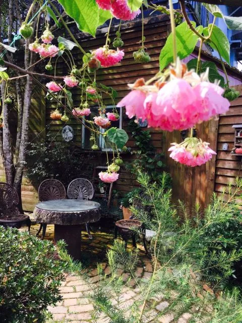 It's Alice cafe & food 119 - Travel of Rice 小米遊記