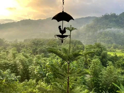 It's Alice cafe & food 120 - Travel of Rice 小米遊記