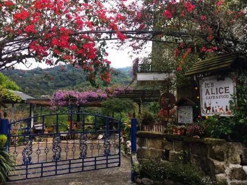 It's Alice cafe & food 121 - Travel of Rice 小米遊記