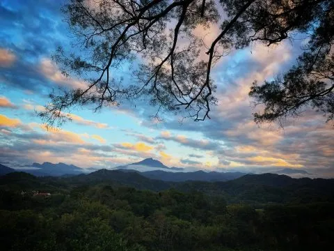 It's Alice cafe & food 123 - Travel of Rice 小米遊記