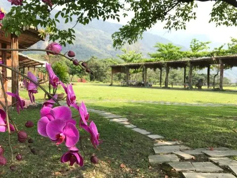 山水炎民宿露營區 63 - Travel of Rice 小米遊記 山水炎民宿露營區 63 - Travel of Rice 小米遊記