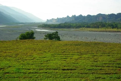 山水炎民宿露營區 108 - Travel of Rice 小米遊記 山水炎民宿露營區 108 - Travel of Rice 小米遊記