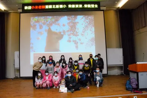 北新國小/新北新店 89 - Travel of Rice 小米遊記 北新國小/新北新店 89 - Travel of Rice 小米遊記