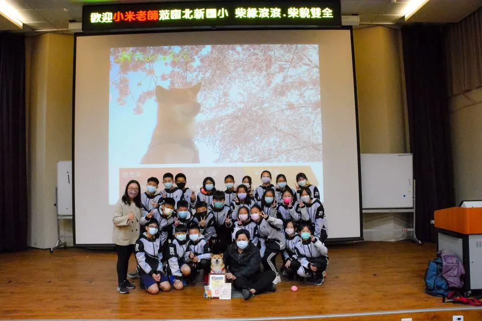 北新國小/新北新店 90 - Travel of Rice 小米遊記 北新國小/新北新店 90 - Travel of Rice 小米遊記