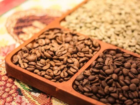 NxCoffee 32 - Travel of Rice 小米遊記