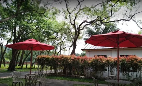 NxCoffee 45 - Travel of Rice 小米遊記