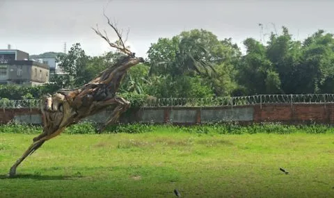 NxCoffee 46 - Travel of Rice 小米遊記