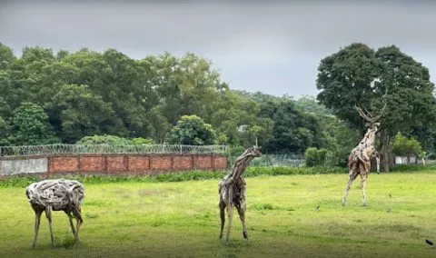 NxCoffee 47 - Travel of Rice 小米遊記