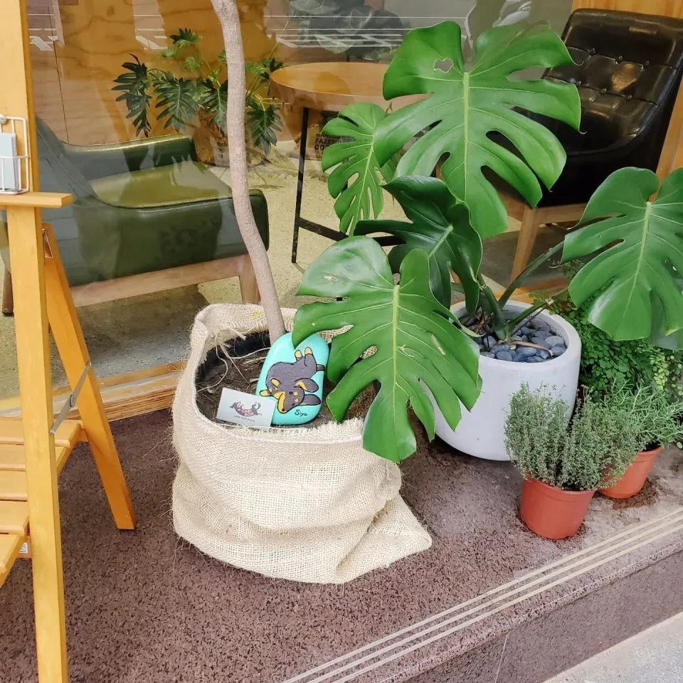 GABI BON CAFE 27 - Travel of Rice 小米遊記
