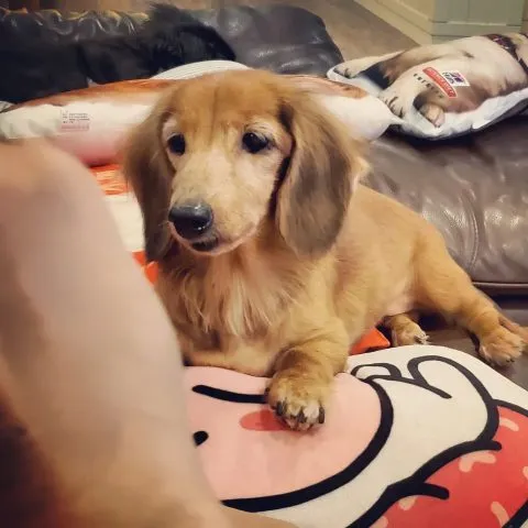 GABI BON CAFE 41 - Travel of Rice 小米遊記 GABI BON CAFE 41 - Travel of Rice 小米遊記