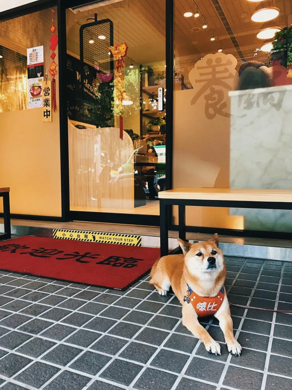 養鍋 Yang Guo 石頭涮涮鍋 (新北中和店) 37 - Travel of Rice 小米遊記