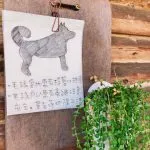 Hakkafe’哈嘎廢 36 - Travel of Rice 小米遊記 Hakkafe’哈嘎廢 36 - Travel of Rice 小米遊記