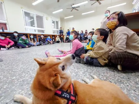 豐山實驗教育學校/嘉義阿里山 33 - Travel of Rice 小米遊記 豐山實驗教育學校/嘉義阿里山 33 - Travel of Rice 小米遊記