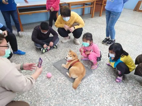 豐山實驗教育學校/嘉義阿里山 51 - Travel of Rice 小米遊記 豐山實驗教育學校/嘉義阿里山 51 - Travel of Rice 小米遊記