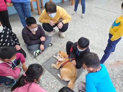 豐山實驗教育學校/嘉義阿里山 52 - Travel of Rice 小米遊記 豐山實驗教育學校/嘉義阿里山 52 - Travel of Rice 小米遊記