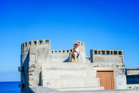 菓葉灰窯 16 - Travel of Rice 小米遊記