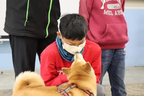 豐山實驗教育學校/嘉義阿里山 44 - Travel of Rice 小米遊記 豐山實驗教育學校/嘉義阿里山 44 - Travel of Rice 小米遊記