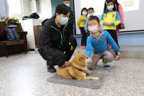豐山實驗教育學校/嘉義阿里山 46 - Travel of Rice 小米遊記 豐山實驗教育學校/嘉義阿里山 46 - Travel of Rice 小米遊記