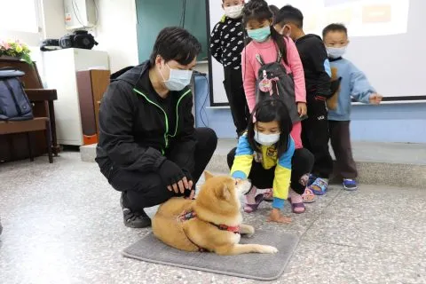 豐山實驗教育學校/嘉義阿里山 47 - Travel of Rice 小米遊記 豐山實驗教育學校/嘉義阿里山 47 - Travel of Rice 小米遊記