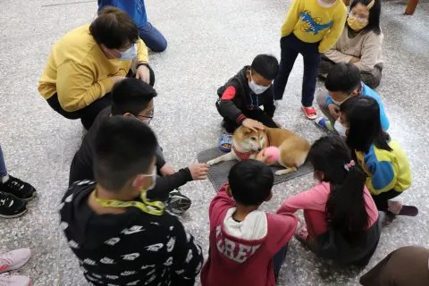 豐山實驗教育學校/嘉義阿里山 48 - Travel of Rice 小米遊記 豐山實驗教育學校/嘉義阿里山 48 - Travel of Rice 小米遊記