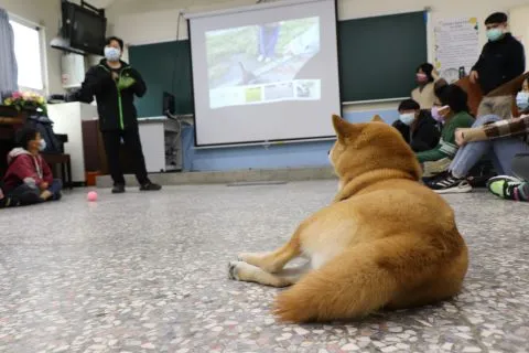 豐山實驗教育學校/嘉義阿里山 49 - Travel of Rice 小米遊記 豐山實驗教育學校/嘉義阿里山 49 - Travel of Rice 小米遊記