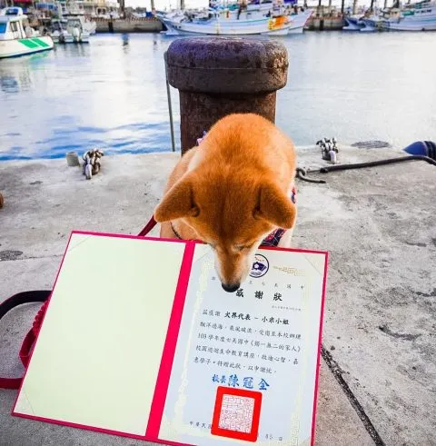 2022暑期《獨一無二的家人》全台巡迴生命教育 15 - Travel of Rice 小米遊記 2022暑期《獨一無二的家人》全台巡迴生命教育 15 - Travel of Rice 小米遊記