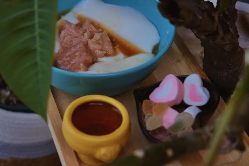 柒柒里咖啡 46 - Travel of Rice 小米遊記