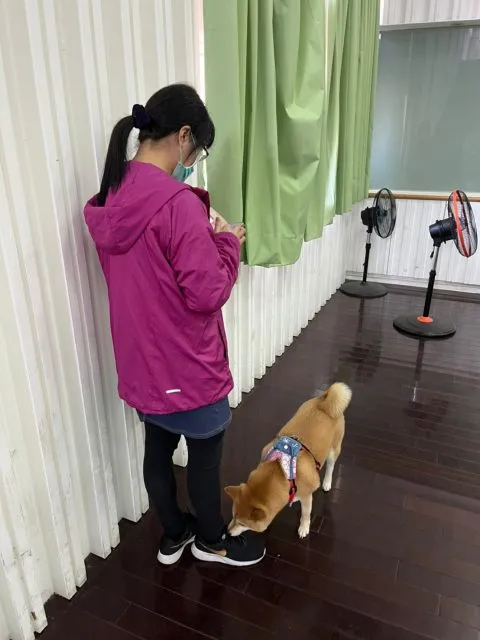 東光國小/台中北屯 54 - Travel of Rice 小米遊記 東光國小/台中北屯 54 - Travel of Rice 小米遊記
