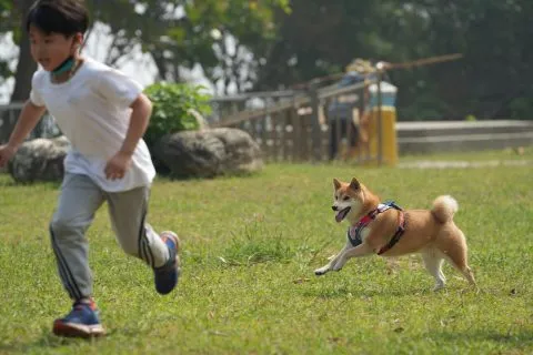 白沙國小／屏東琉球 61 - Travel of Rice 小米遊記
