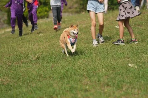 白沙國小／屏東琉球 63 - Travel of Rice 小米遊記