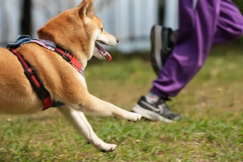 白沙國小／屏東琉球 64 - Travel of Rice 小米遊記