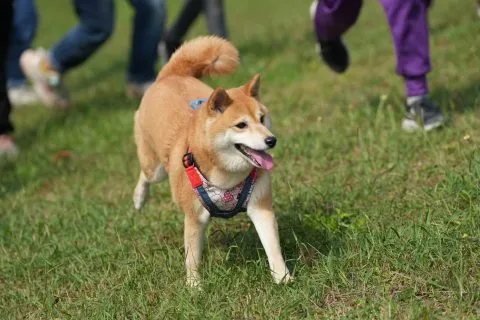 白沙國小／屏東琉球 66 - Travel of Rice 小米遊記