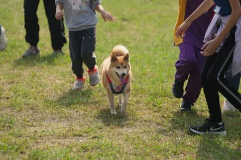 白沙國小／屏東琉球 67 - Travel of Rice 小米遊記